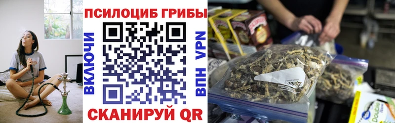 Псилоцибиновые грибы Cubensis  Лермонтов 
