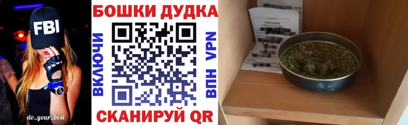продажа наркотиков  Лермонтов  Канабис сатива 